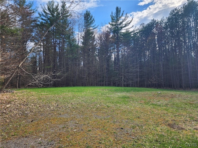 7542 Heller Rd, Watson NY, 13343 land for sale