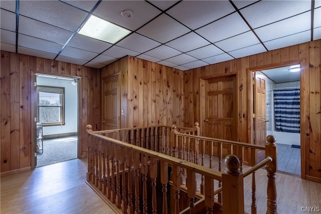 hall featuring light wood-type flooring and a drop ceiling