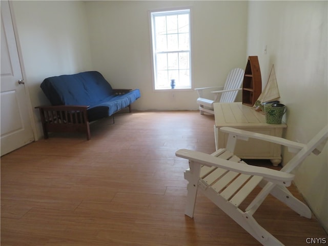 living area featuring hardwood / wood-style floors