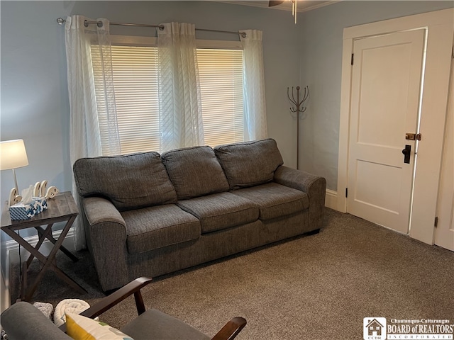 view of carpeted living room