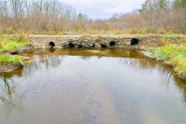 view of water feature