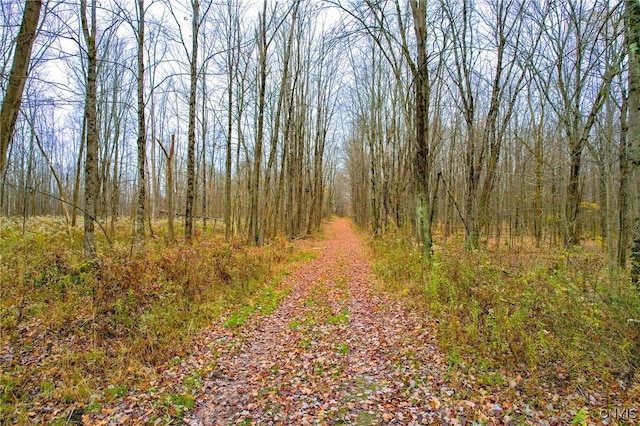 view of landscape