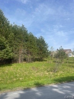 000 Butternut Rd, New Hartford NY, 13413 land for sale