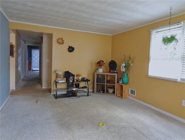 misc room with ornamental molding and carpet flooring