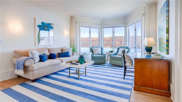 living room featuring light hardwood / wood-style floors