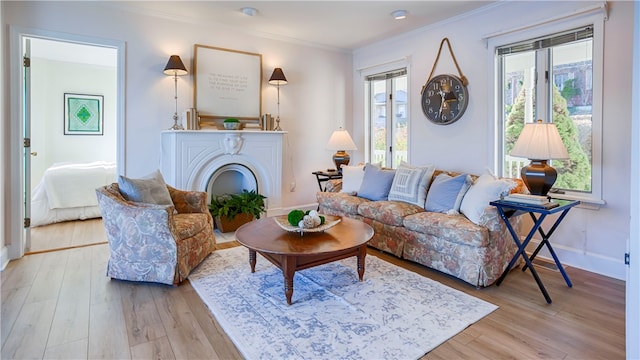 living room featuring light wood-type flooring and crown molding