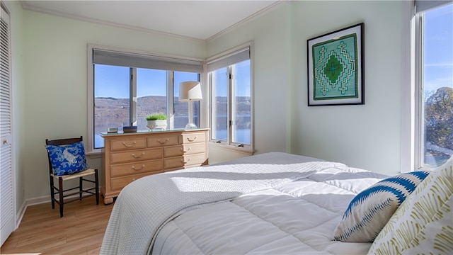 bedroom with a mountain view, light hardwood / wood-style floors, a closet, and crown molding