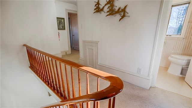 staircase featuring carpet flooring