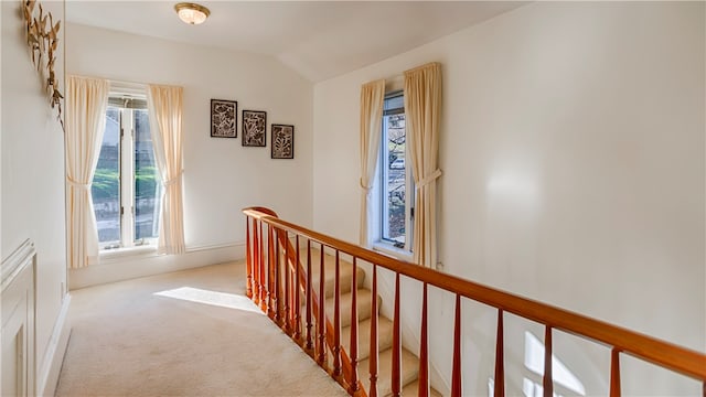 hall featuring light colored carpet, lofted ceiling, and a wealth of natural light