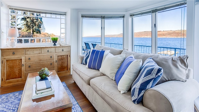 living room with dark hardwood / wood-style floors, a water view, and a wealth of natural light