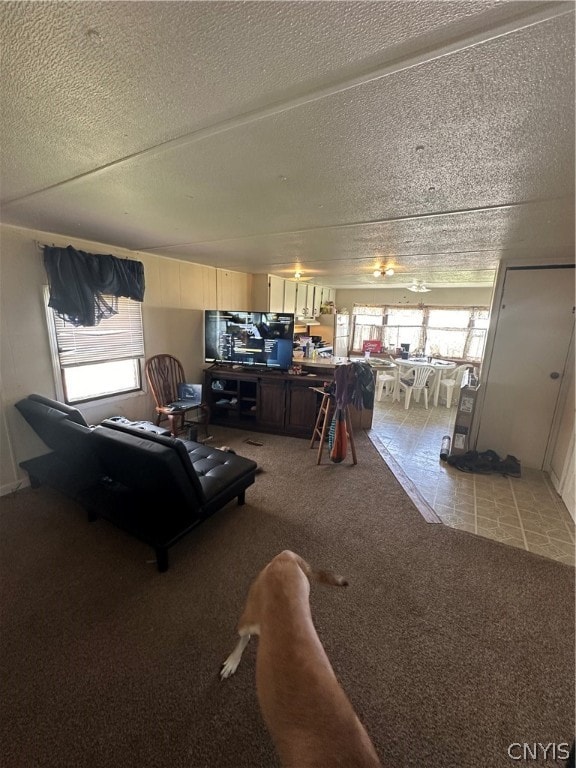 carpeted living room with a textured ceiling