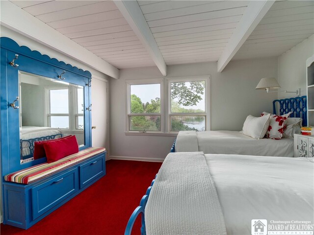 2 Elm Ln, Chautauqua, NY 14722 - bedroom featuring multiple windows, beam ceiling, and baseboards