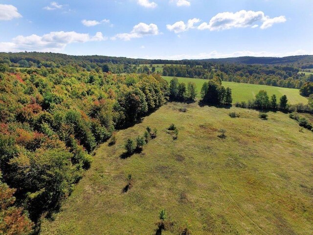 LOT6 Warren Rd, Meredith, NY 13753