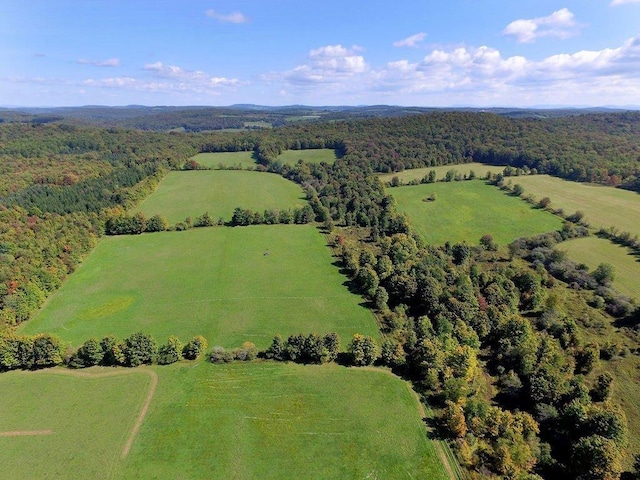LOT6 Warren Rd, Meredith, NY 13753