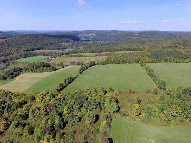 LOT6 Warren Rd, Meredith, NY 13753