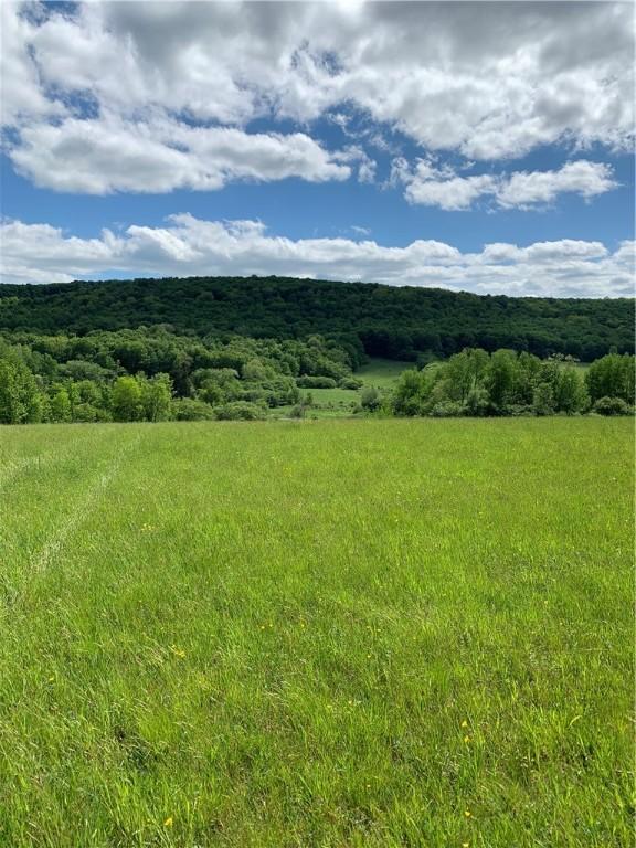 LOT6 Warren Rd, Meredith, NY 13753