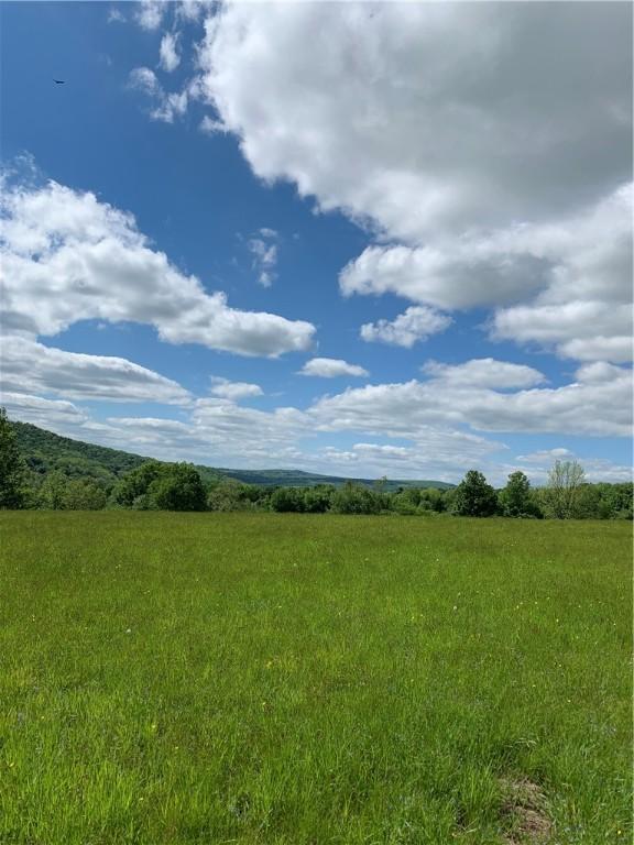LOT6 Warren Rd, Meredith, NY 13753