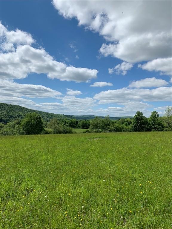 LOT6 Warren Rd, Meredith, NY 13753