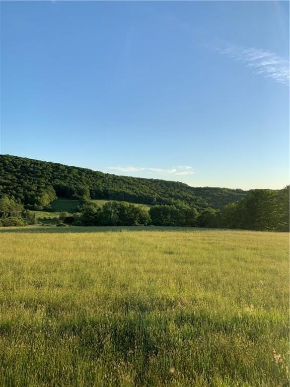 LOT6 Warren Rd, Meredith, NY 13753