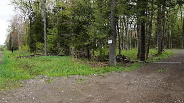 Listing photo 3 for 342 Mc Caw Rd, Redfield NY 13437