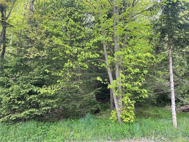 0 Spring St, Canisteo NY, 14823 land for sale