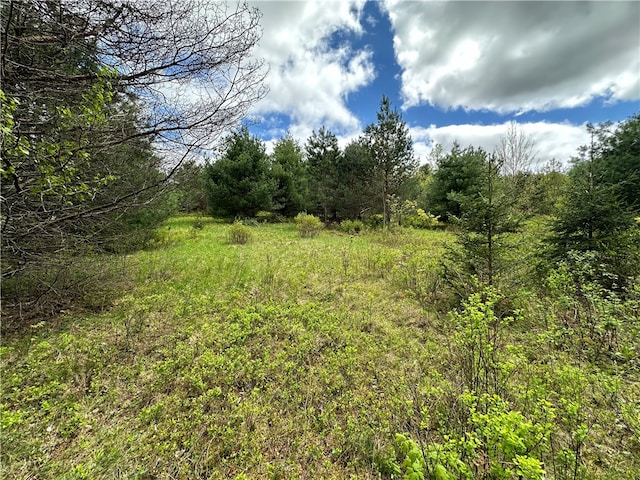 0 Pine Tree Rd, Pittsfield NY, 13411 land for sale