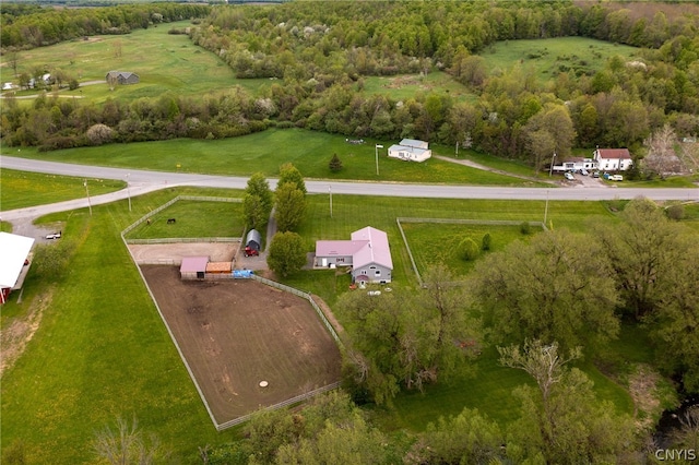 bird's eye view