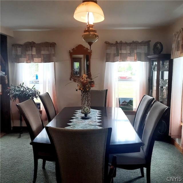 dining room featuring carpet