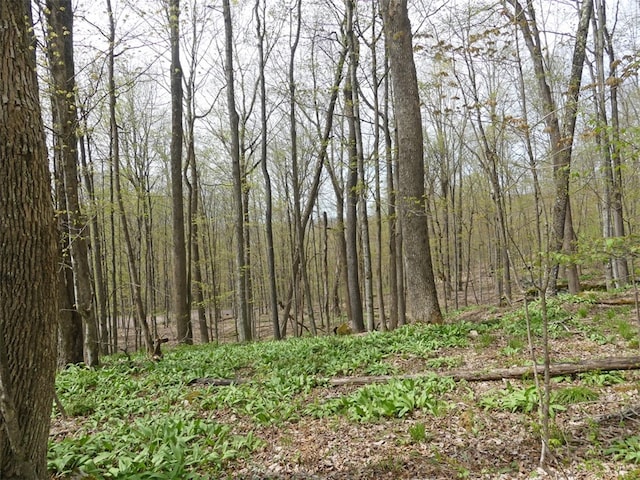 LOT26 Timberland Dr, Andes NY, 13731 land for sale