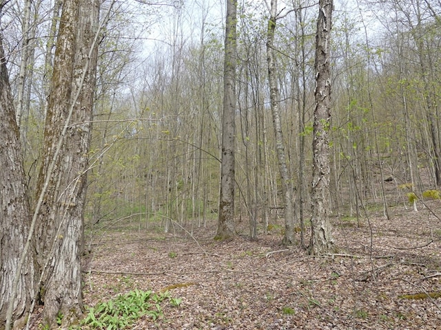 Listing photo 2 for LOT26 Timberland Dr, Andes NY 13731