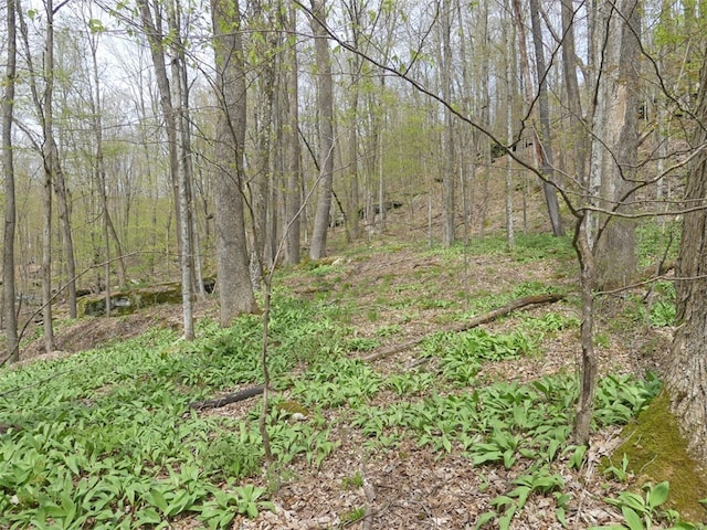 Listing photo 3 for LOT26 Timberland Dr, Andes NY 13731