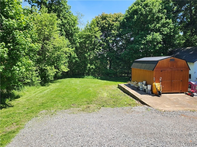 view of yard with a storage shed