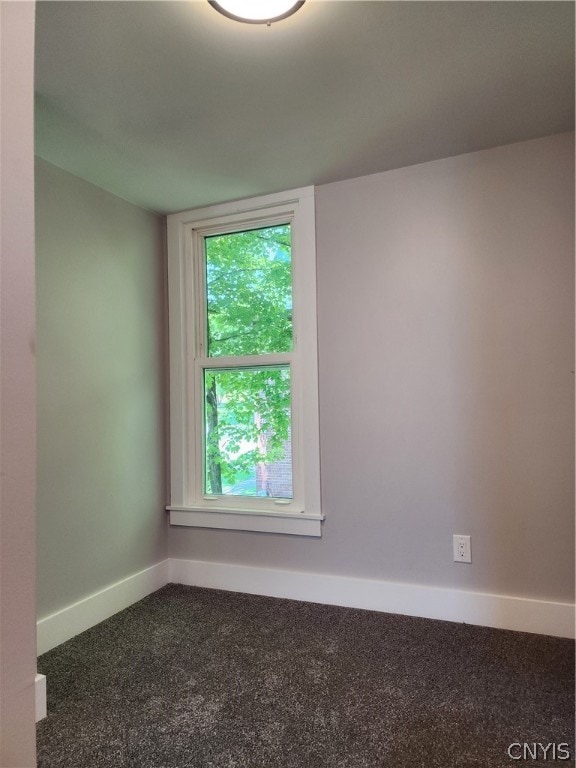 empty room featuring carpet floors