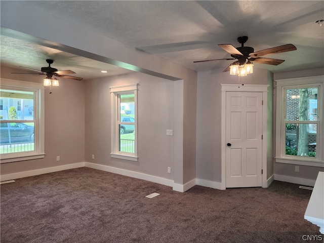 foyer with a wealth of natural light and dark colored carpet