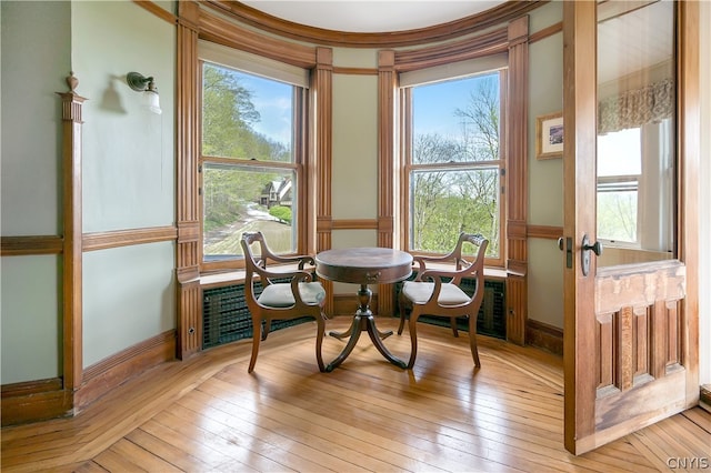 living area with light hardwood / wood-style flooring and a wealth of natural light