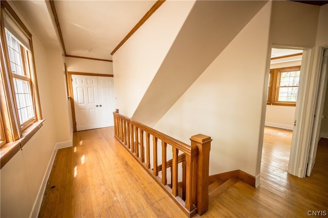 hallway featuring light hardwood / wood-style floors and crown molding