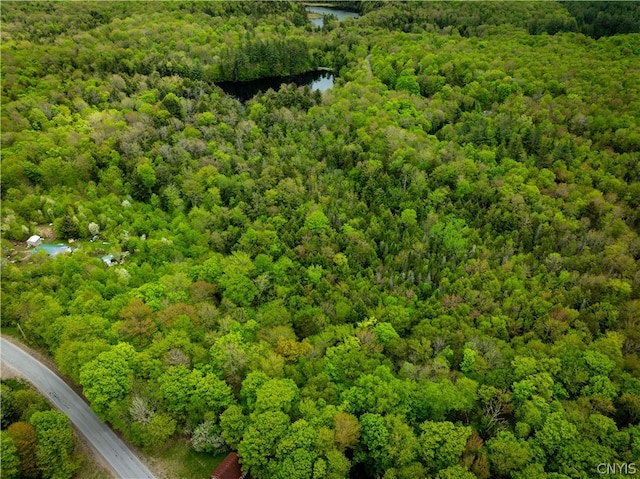 Listing photo 3 for LOT32 Wheelertown Rd, Russia NY 13438