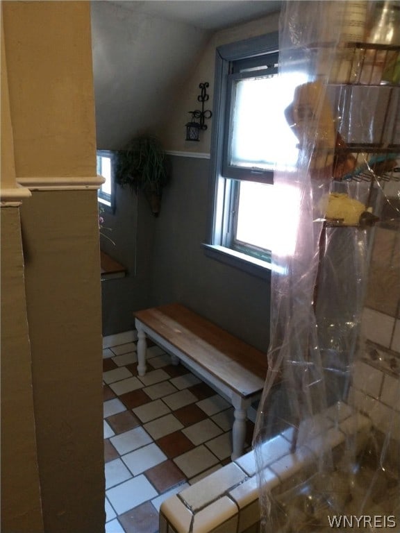 bathroom featuring vaulted ceiling