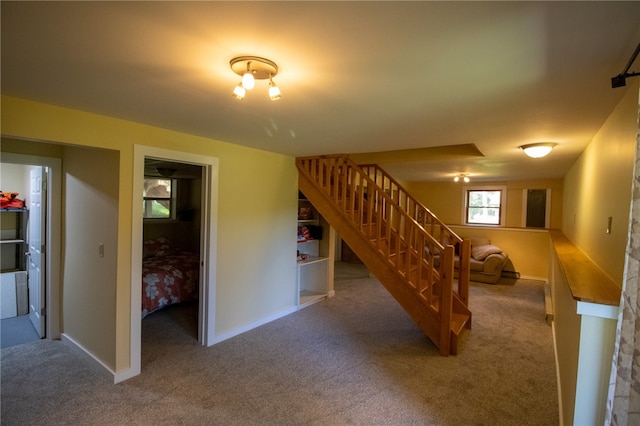 interior space featuring a walk in closet and carpet