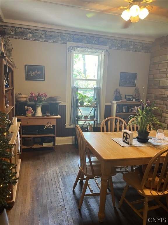 dining area with ornamental molding, ceiling fan, and dark hardwood / wood-style flooring