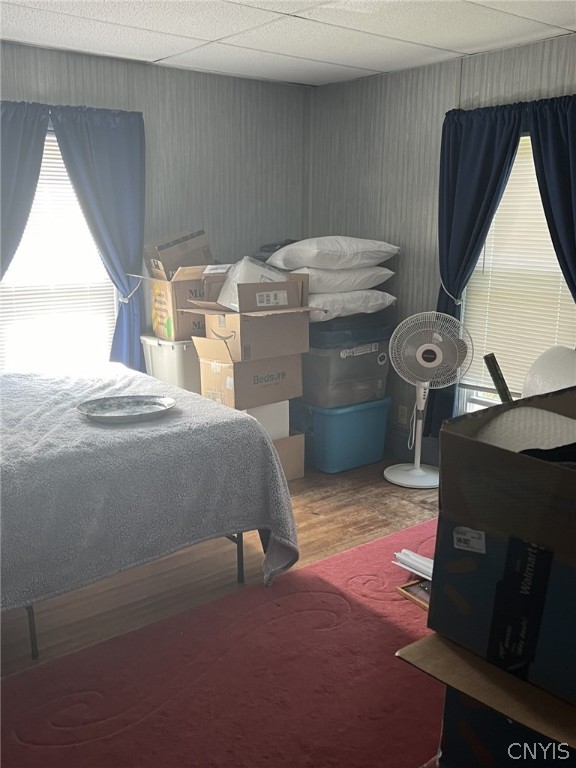 bedroom with hardwood / wood-style floors and a paneled ceiling