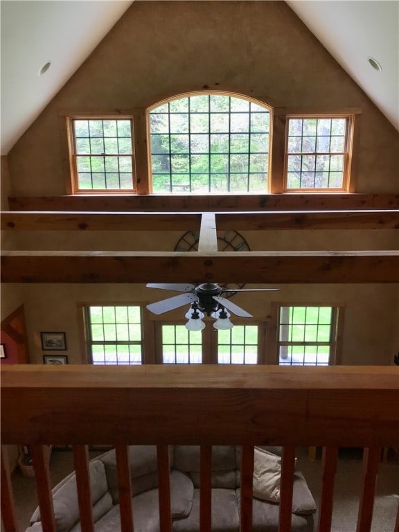 room details with ceiling fan