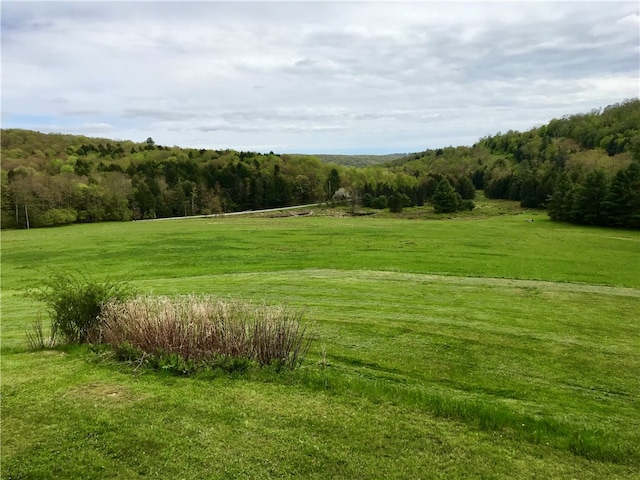 view of nearby features featuring a rural view and a yard