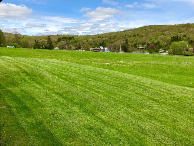 view of nearby features featuring a rural view and a yard