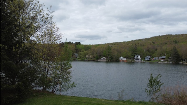 view of property view of water