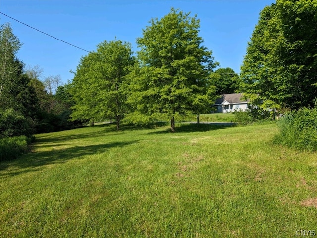 Listing photo 2 for 9990 Pennymix Rd, Camden NY 13316