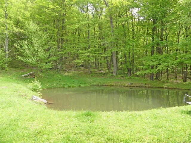 view of water feature