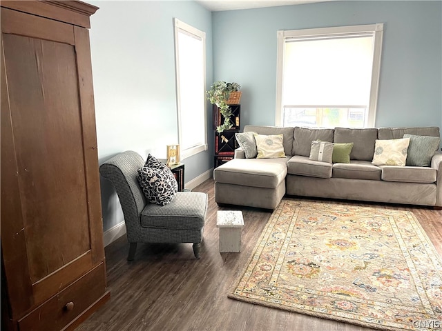 living room featuring dark hardwood / wood-style flooring