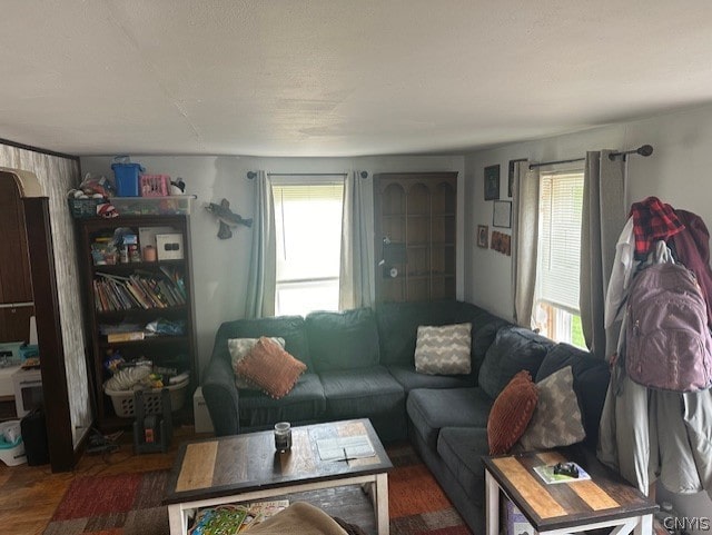 living room featuring dark hardwood / wood-style flooring