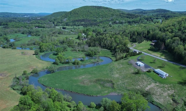 birds eye view of property featuring a water and mountain view